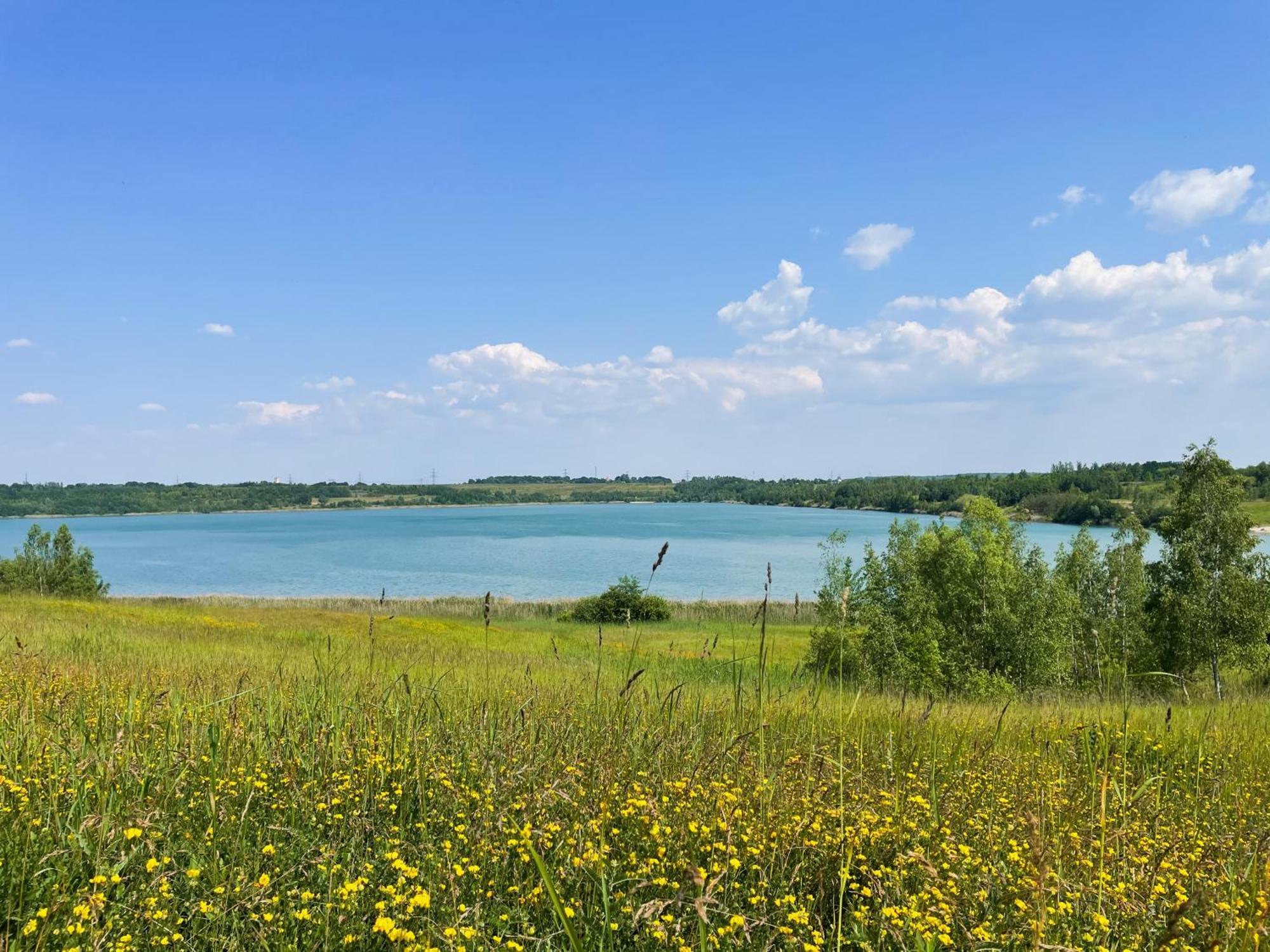 Neukieritzsch Haus Im Schilf 2 - Ferienwohnungen Am Hainer See Bei Leipzig מראה חיצוני תמונה